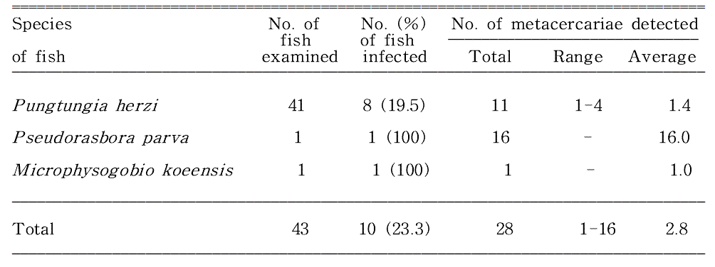 Infection status of Metorchis orientalis metacercariae in fishes from Wicheon in Gunwi-gun, Gyeongsangbuk-do