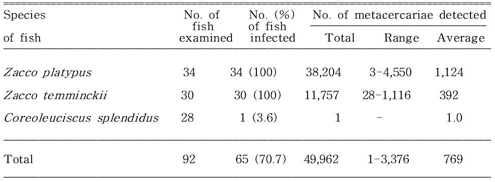 Infection status of Centrocestus armatus metacercariae in fishes from Banbyeoncheon in Yeongyang-gun, Gyeongsangbuk-do