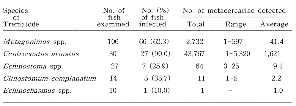 Overall infection status of zoonotic trematode metacercariae in fishes from Osipcheon (Stream) in Yeongdeok-gun, Gyeongsangbuk-do, Korea