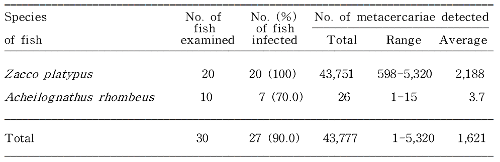 Infection status of Centrocestus armatus metacercariae in fishes from Osipcheon (Stream) in Yeongdeok-gun, Gyeongsangbuk-do