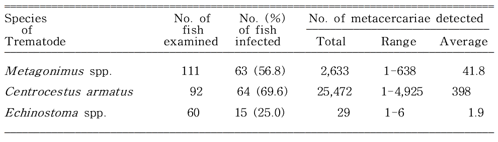 Overall infection status of zoonotic trematode metacercariae in fishes from Osipcheon (Stream) in Samcheok-si, Gangwon-do, Korea