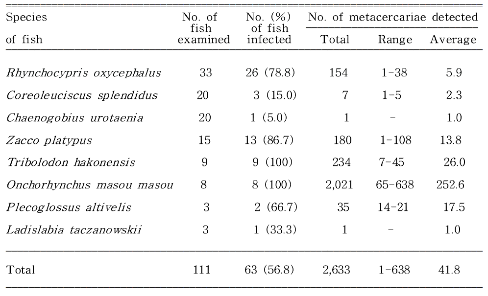 Infection status of Metagonimus spp. metacercariae in fishes from Osipcheon (Stream) in Samcheok-si, Gangwon-do