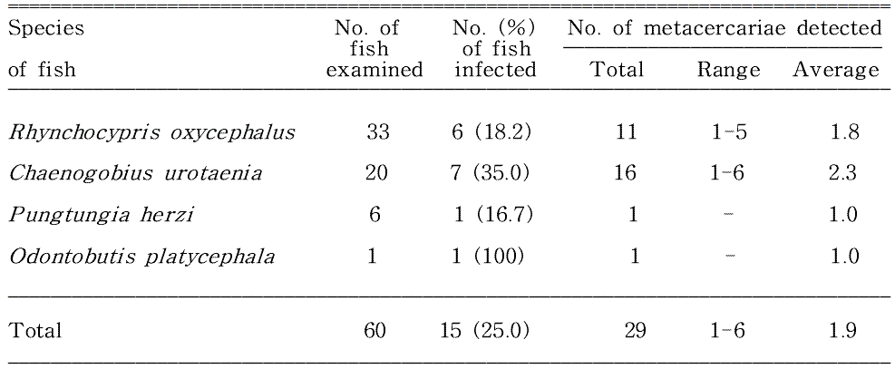 Infection status of Echinostoma spp. metacercariae by the species of fish from Osipcheon (Stream) in Samcheok-si, Gangwon-do, Korea