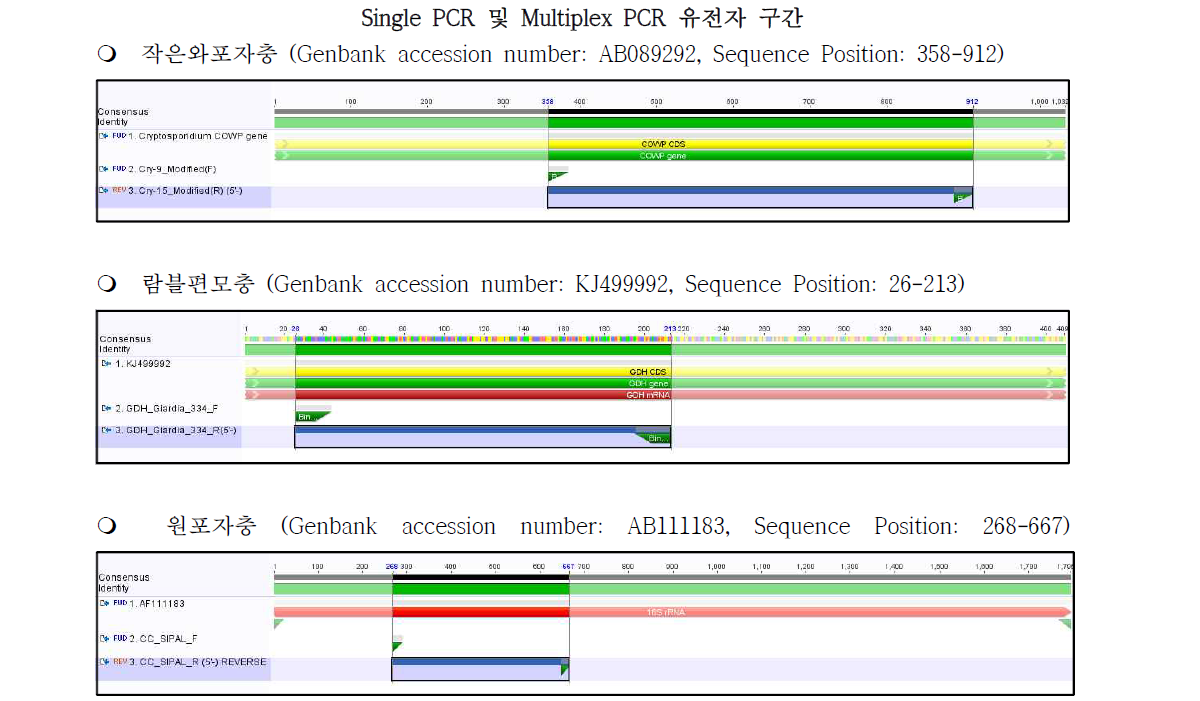각 원충별 multiplex PCR 타깃 유전자 구간