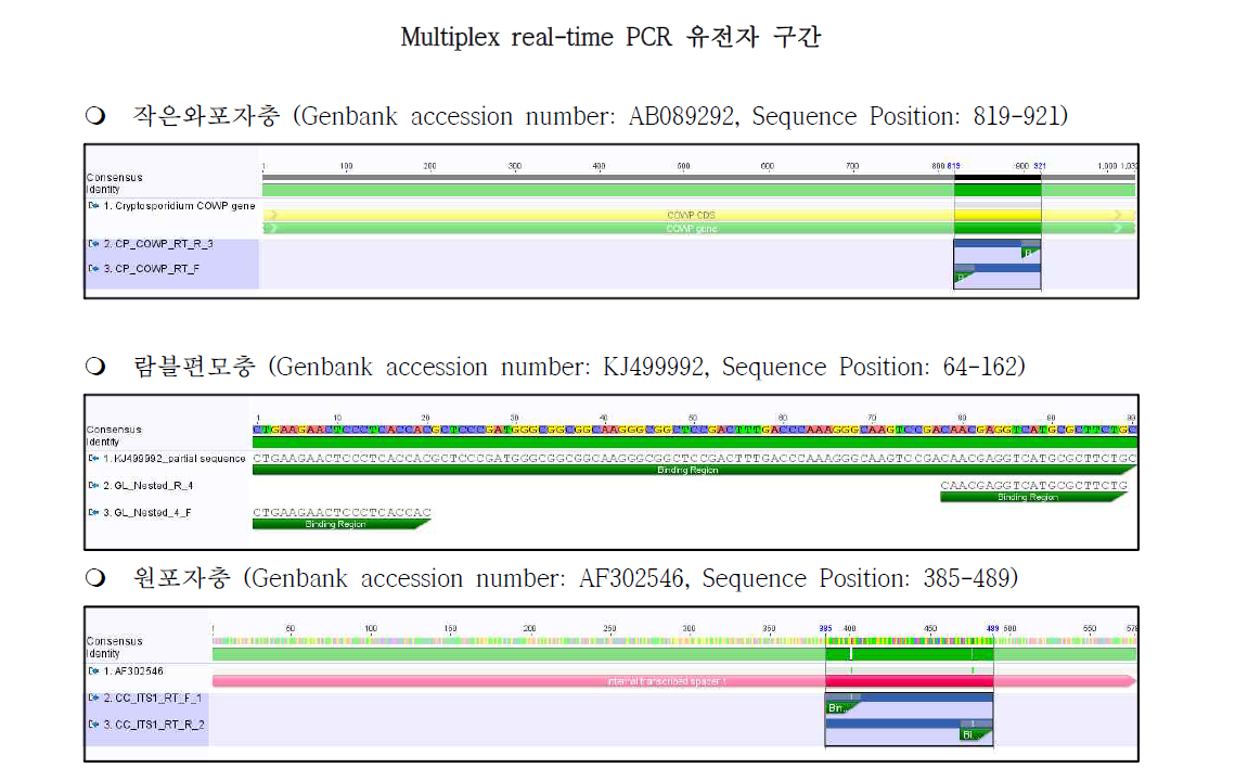 각 원충별 multiplex real-time PCR 타깃 유전자 구간