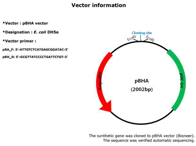 pBHA vector information (Bioneer)