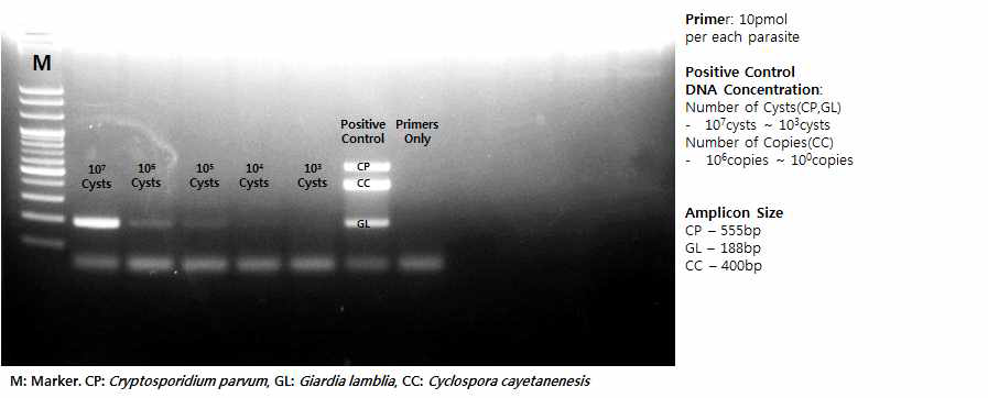 원포자충(Cc)에 대한 검출한계 확인2)