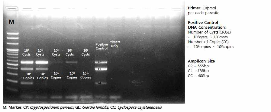 작은와포자충(Cp)과 람블편모충(Gl), 원포자충(Cc) 세 종에 대한 검출한계 확인