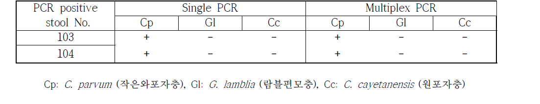 확보된 분변 샘플 중 conventional PCR(single 및 multiplex PCR) 양성판정 여부