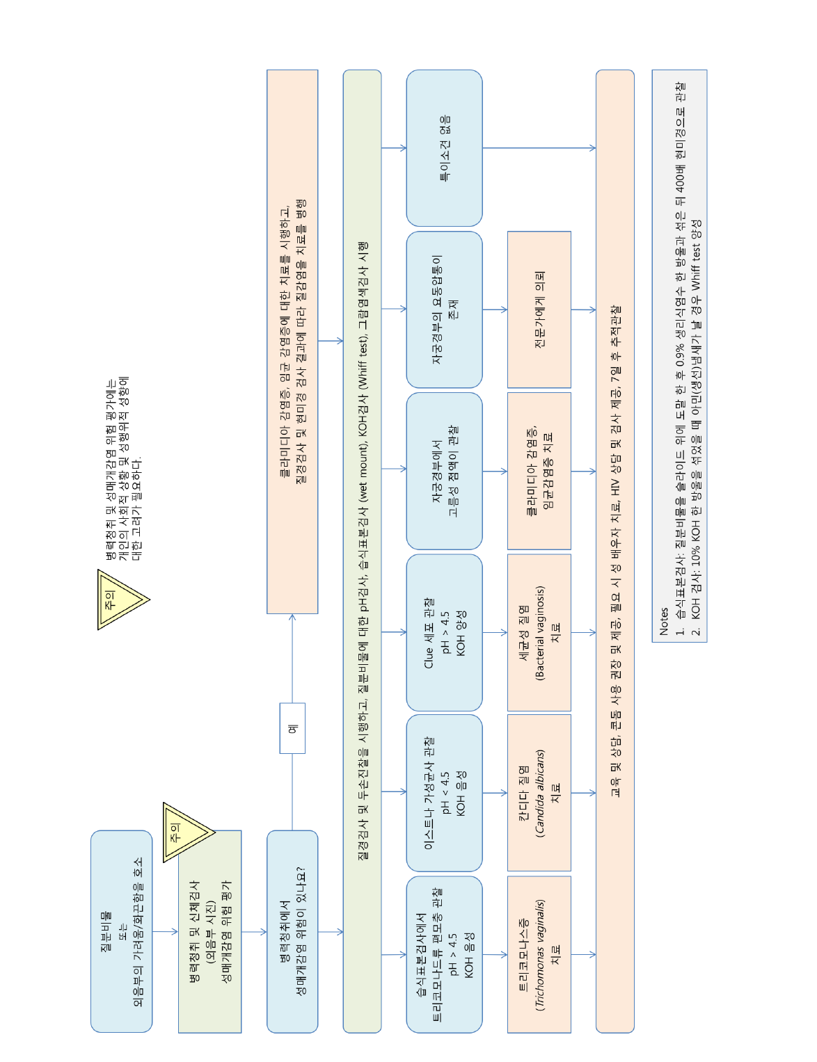 질분비물 진료흐름도 (현미경검사가 가능한 경우)