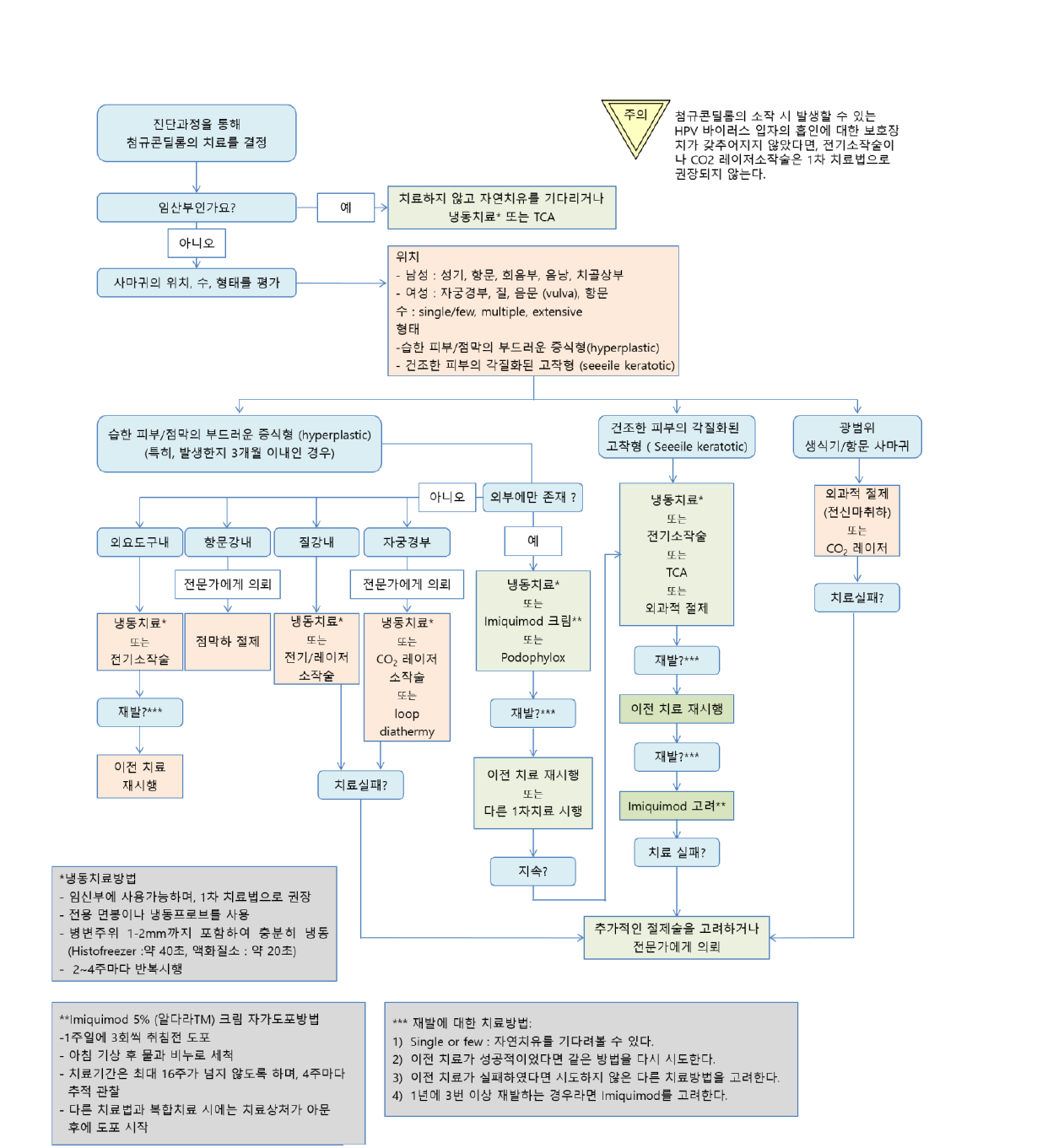 첨규콘딜롬 진료흐름도