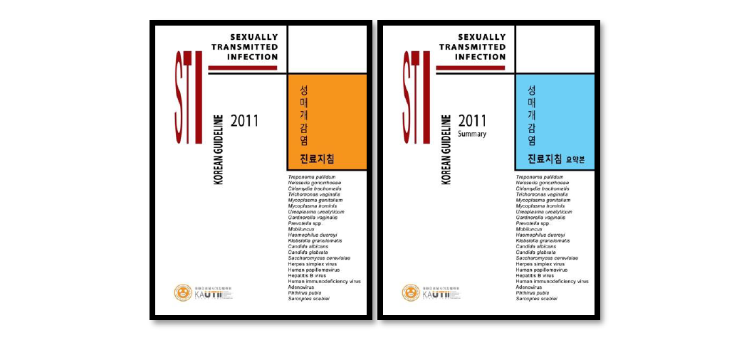 2011 년 성매개감염 진료지침과 요약본 초판 표지