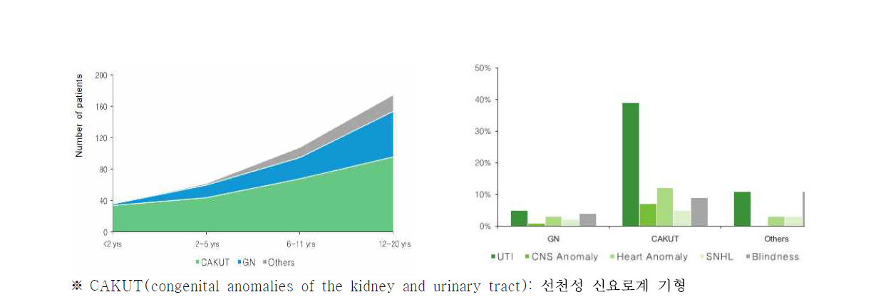 연령군별 원인질환 분포 및 원인질환군별 동반 질환 빈도