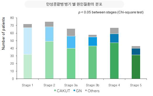 어린이 만성콩팥병의 병기별 원인질환의 분포 및 특성