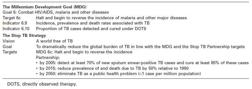 세계보건기구의 결핵관리 비젼, 목적, 목표와 지표