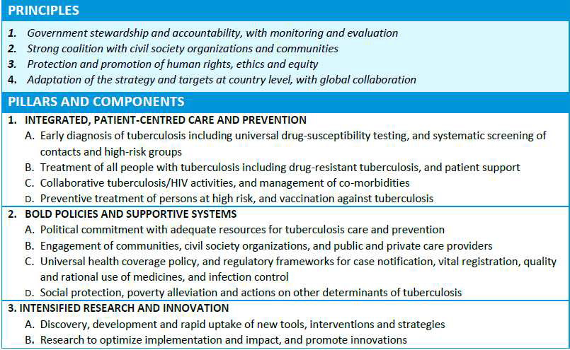 세계보건기구의 2015년 이후 결핵관리의 전략과 목표