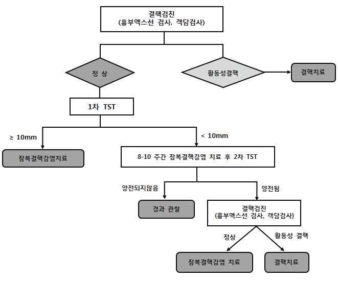 4주~5세 미만 잠복결핵감염치료대상자 선정