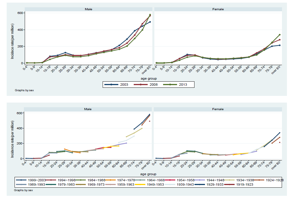 2003-2008-2013년 성별 연령군별 전체 결핵 발생률과 연령-기간-코호트 분석