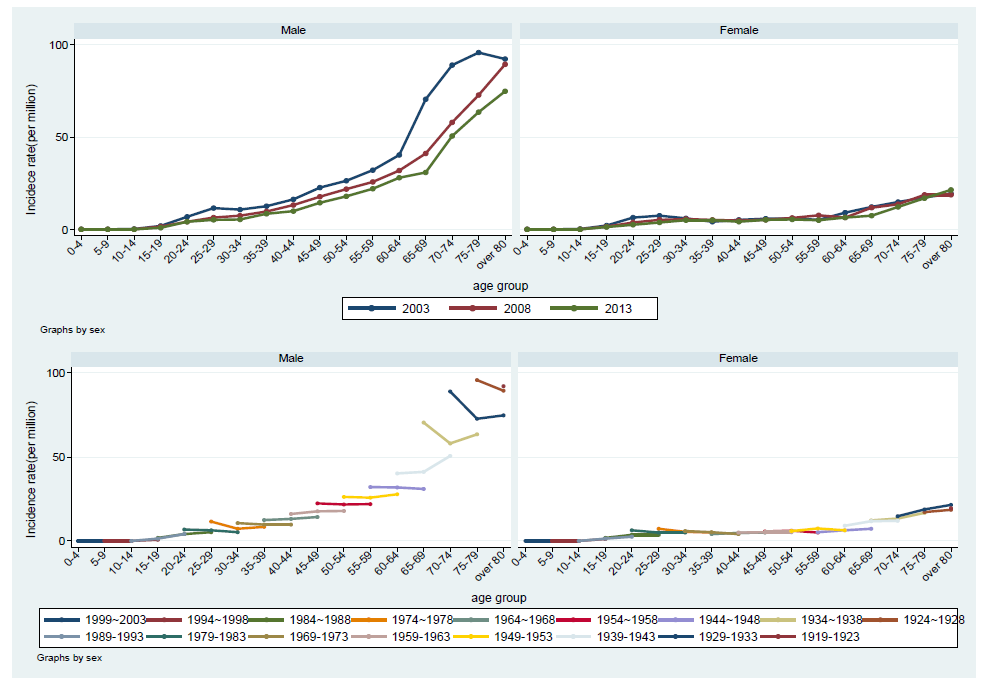 2003-2008-2013년 성별 연령군별 폐결핵 재발 환자 발생률과 연령-기간-코호트 분석