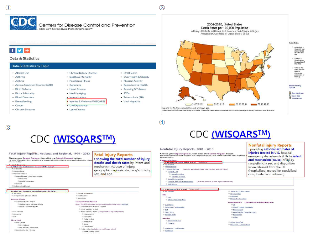 미국 CDC 홈페이지에서 제공하는 손상통계 정보활용 현황