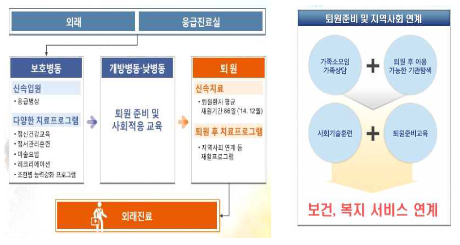 국립서울정신병원의 사업의 내용