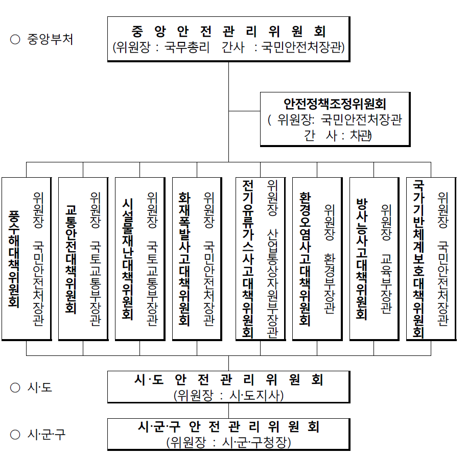 중앙안전관리위원회 조직도