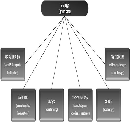 녹색치유의 영역: 녹색치유우산(green care umbrella)
