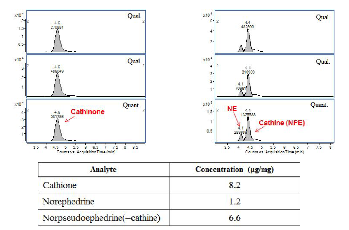 Chemical profile of khat extract