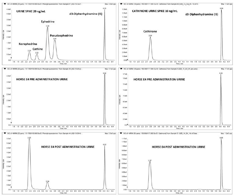 HPLC/MS/MS MRM extracted ion chromatograms showing the precence of ephedrine, norephedrine and cathinone in a post administration urine sample after regimen oral administration of 300 mg ephedrine.