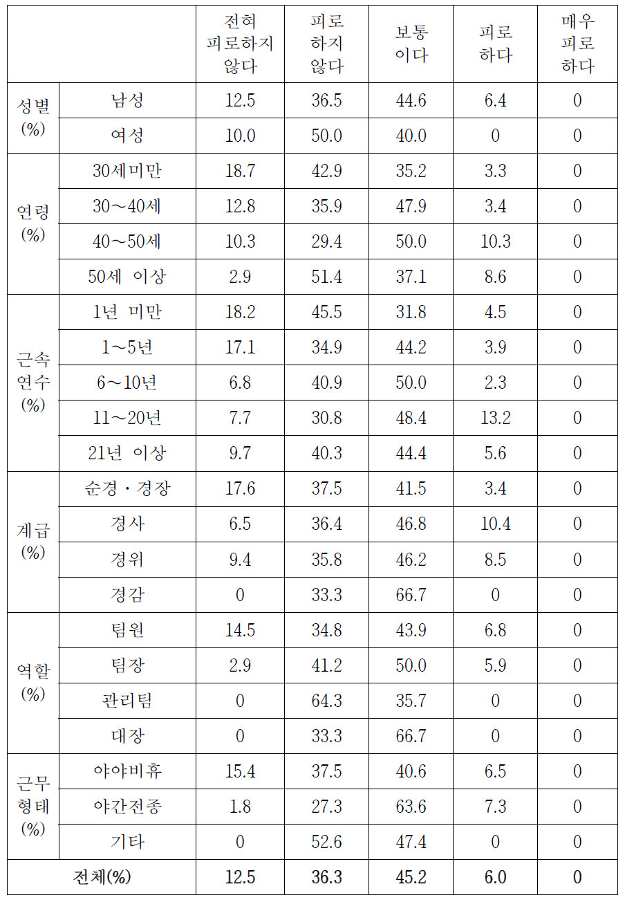 기동순찰대 근무로 인한 근무 피로도(상세분석)