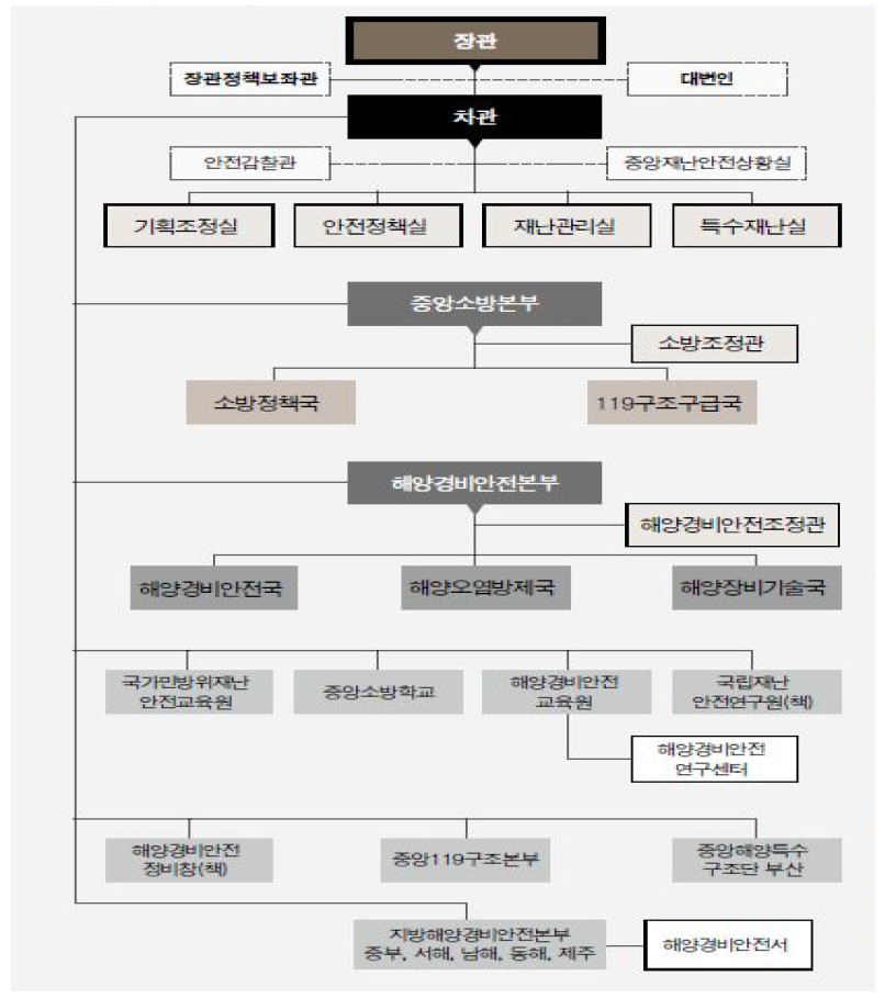 국민안전처 조직도