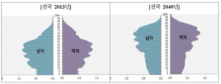 2013년 및 2040년 시도별 인구 피라미드