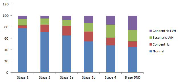 만성콩팥병 단계에 따른 좌심실 형태 변화