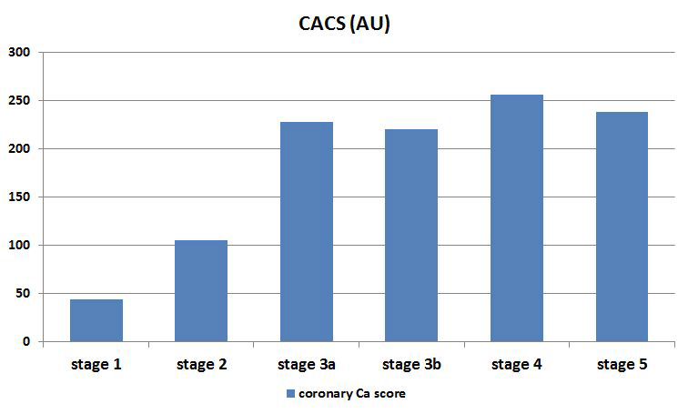 CKD stage 별 CACS