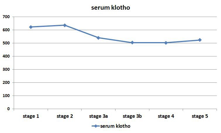 CKD stage에 따른 serum klotho level