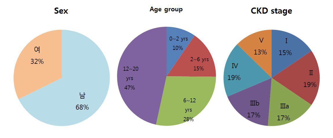 소아 만성신장병 등록 환자의 기초자료