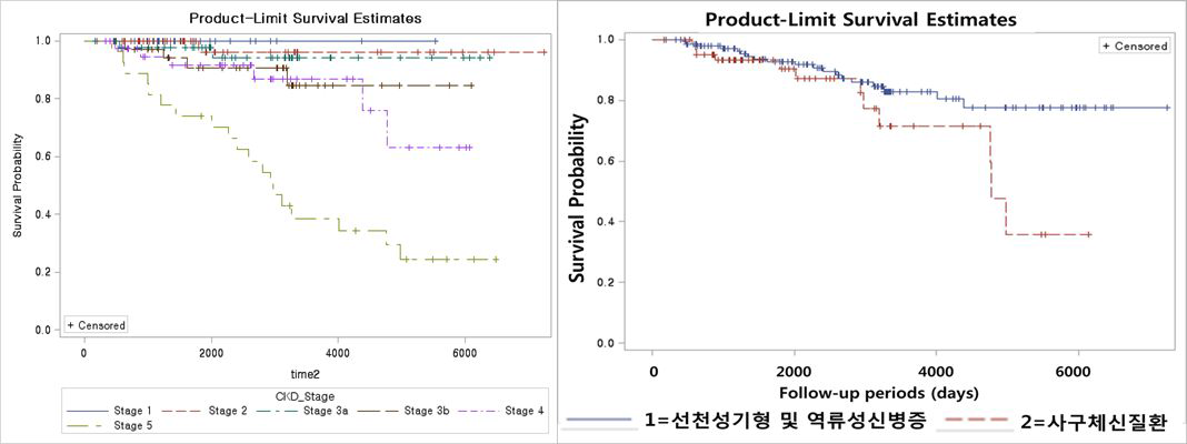 만성콩팥병 단계별, 원인질환군별 소아만성콩팥병환자의 신장수명