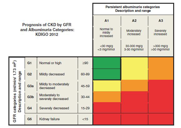 GFR 과 알부민뇨에 따른 만성신장질환의 예후