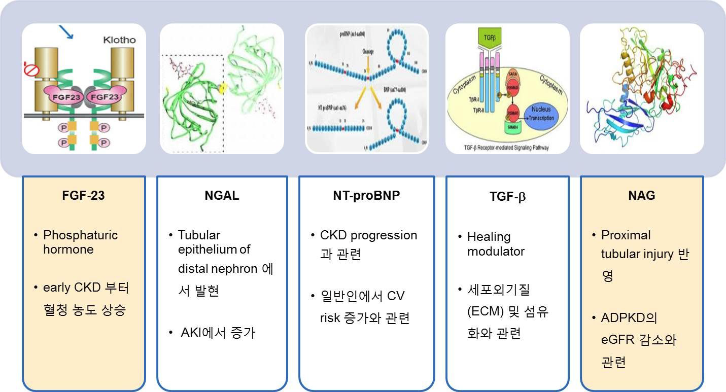 Candidate biomarkers in CKD