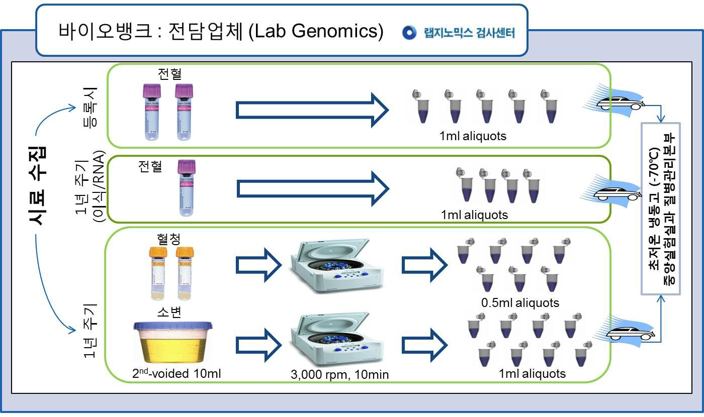 시료 뱅킹 및 한국 인체자원은행 이송 과정