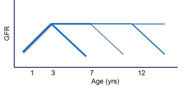 Natural course of renal function in children with renal dysplasia.