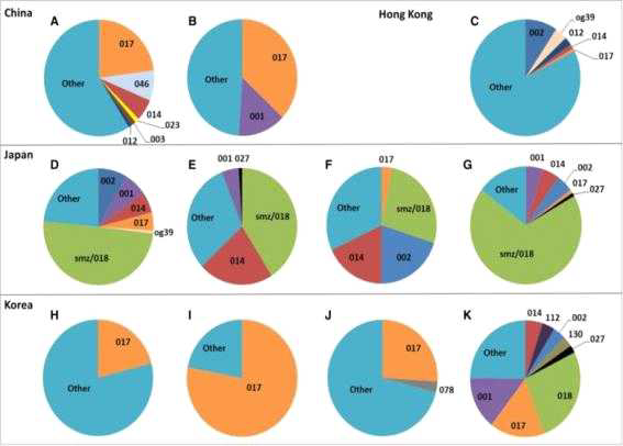 Ribotype distributions for studies in China (A,B), Hong Kong (C), Japan (D-G) and Korea (H-K)