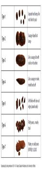 Bristol Stool Chart