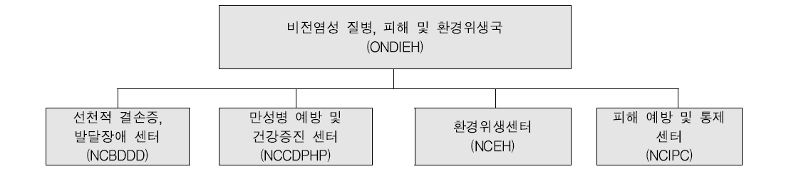 비전염성 질병, 피해 및 환경위생국(ONDIEH) 조직도