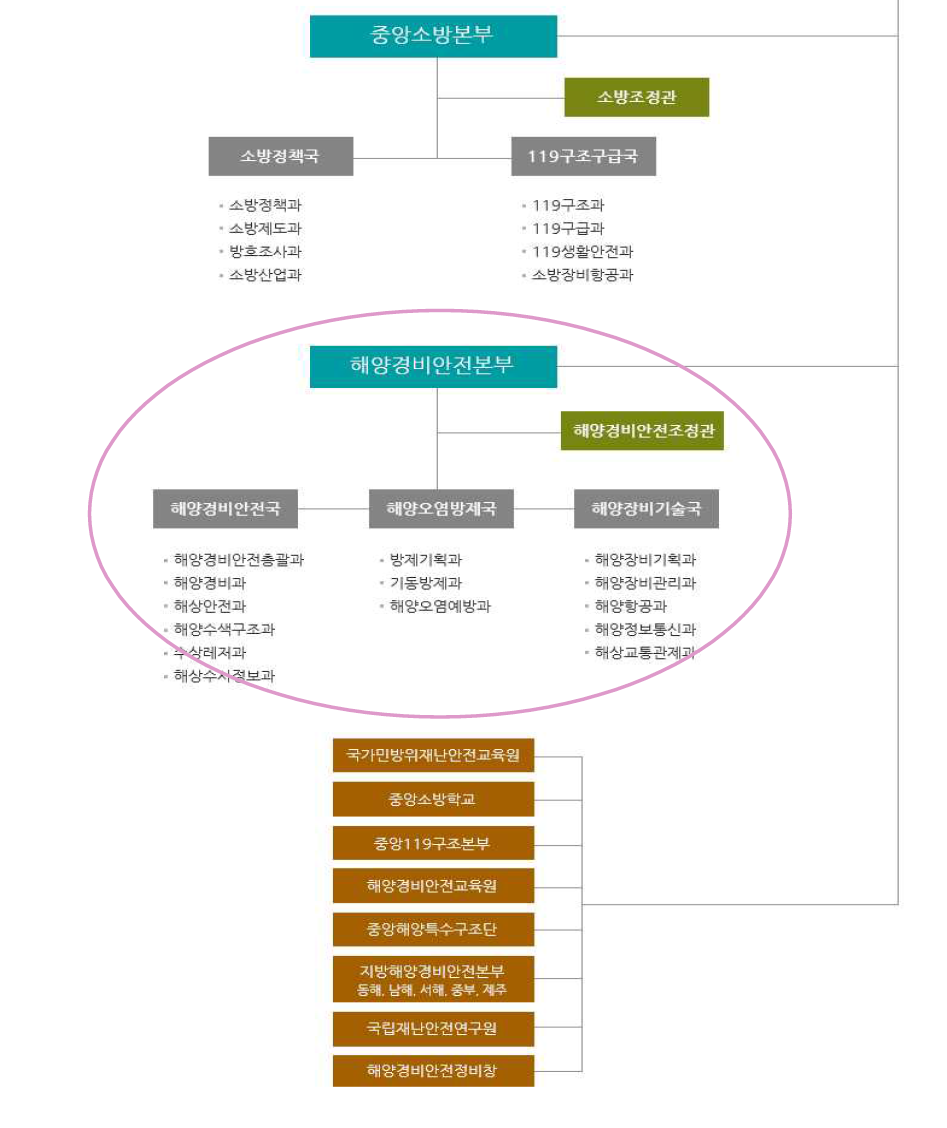 국민안전처 조직도표