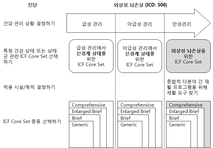 특정 건강상태 또는 상태군 관련 ICF 코어셋 선택