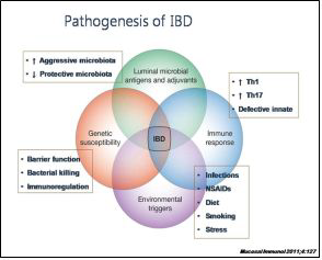 염증성 장질환의 병태 생리