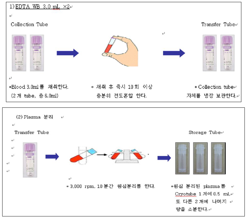 혈액검체 처리과정