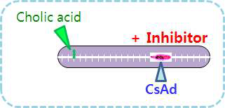 Inhibitor assay in the trough of chemotaxis chamber.