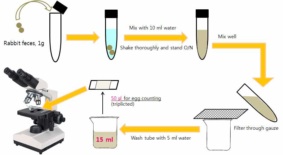 Schematic illustration of quantitative stool examinition process on the rabbit fece.